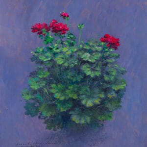 Flores Geranios - 3 de noviembre 2021