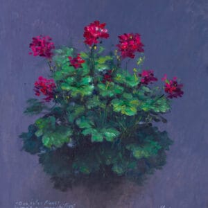 Flores Geranios - Marzo 2021