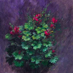 Flores Geranios - Febrero 2021