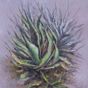 Magueyes - 1 Agosto 2021