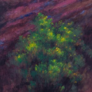 Flores en la ladera - 28 de abril 2022