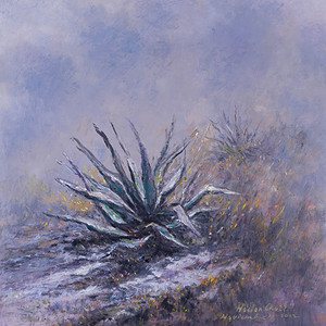 Magueyes en pedregal - 10 de noviembre 2022