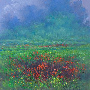 Flores por el camino - Enero 2023