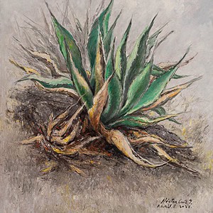 Magueyes del Mezquital 2025 - 8 de abril de 2025