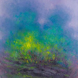 Por el Pedregal - 9 de agosto de 2025