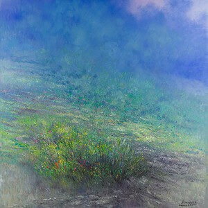 Pedregal por la mañana - 29 de marzo de 2025