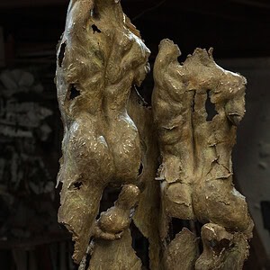 Sombras (pieza única)