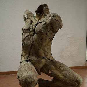 Trópico (pieza única)